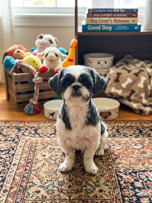 Nala - OS