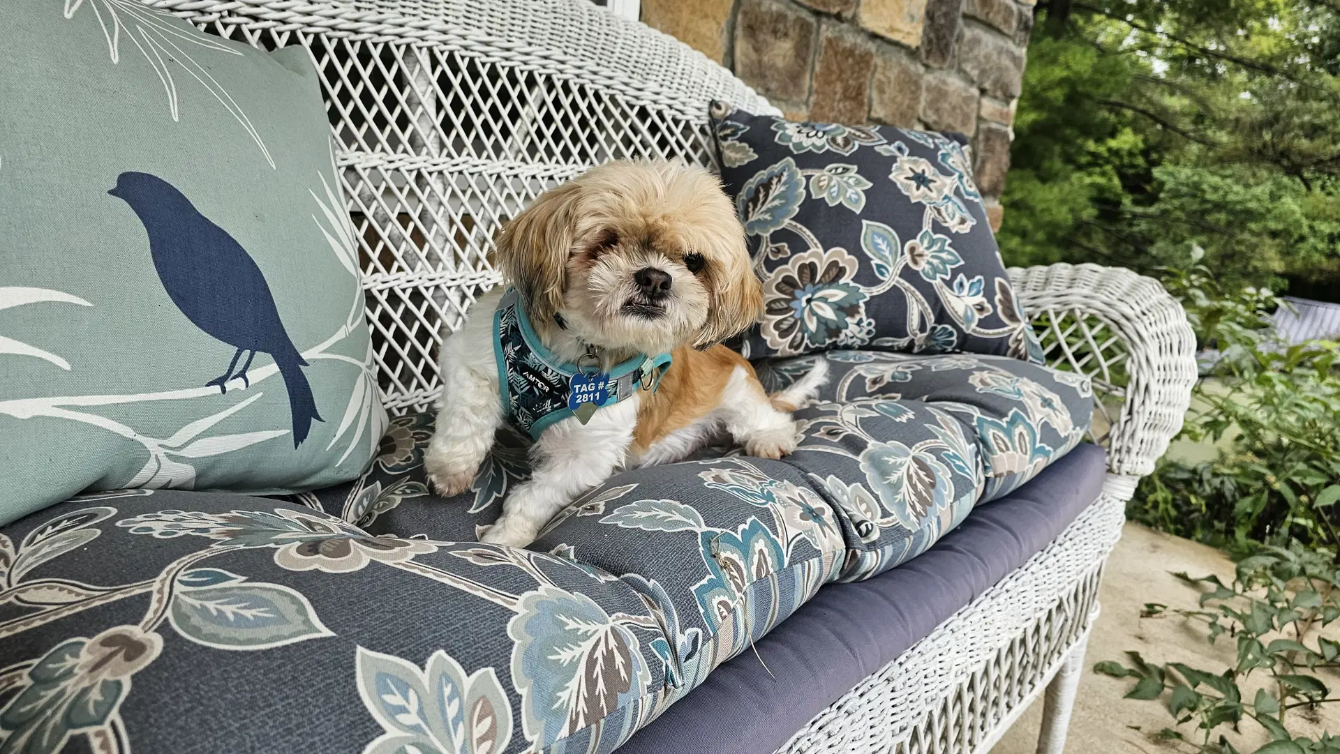 Bridgett - Arr image 3