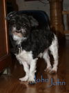 John John (ADOPTION PENDING)