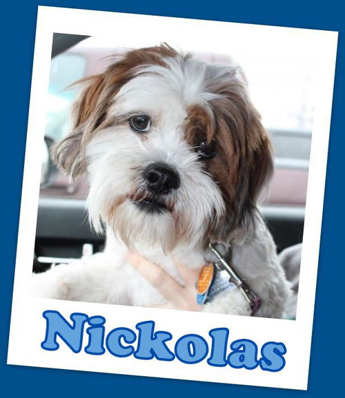 Nickolas