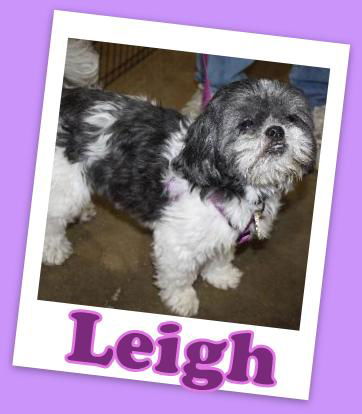 Leigh Franklin (ADOPTION PENDING)