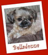 Belladonna (ADOPTION PENDING)