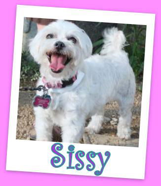 Sissy Franklin (ADOPTION PENDING)