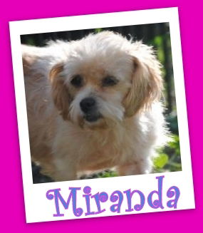 Miranda Franklin (ADOPTION PENDING)