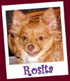 Rosita Franklin (ADOPTION PENDING)