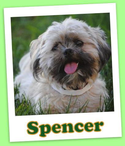 Spencer Franklin (ADOPTION PENDING)