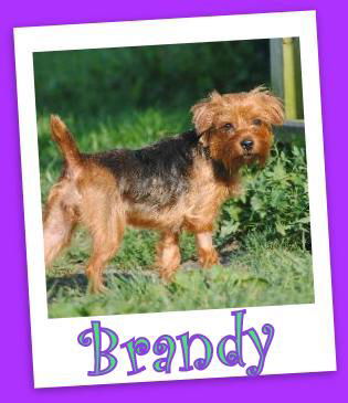 Brandy Franklin (ADOPTION PENDING)