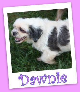 Dawnie Franklin (ADOPTION PENDING)