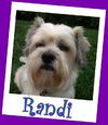 Randi Kanawha(ADOPTION PENDING)