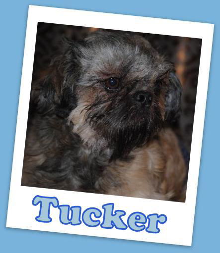 Tucker Franklin (Adoption Pending)