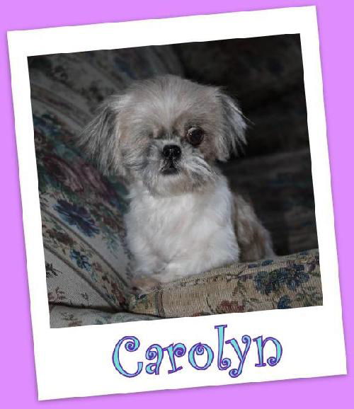 Carolyn Clermont (ADOPTION PENDING)