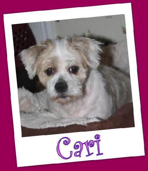 Cari Delaware (ADOPTION PENDING)