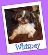 Whitney Anderson (ADOPTION PENDING)