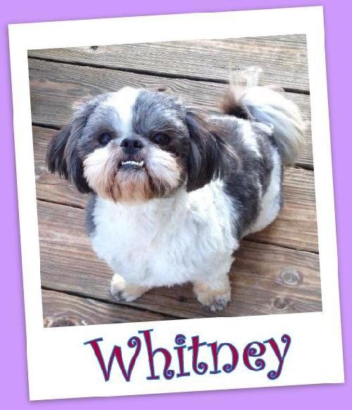 Whitney Anderson (ADOPTION PENDING)