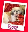 Rosy Anderson (ADOPTION PENDING)