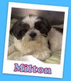 Milton Franklin (ADOPTION PENDING)