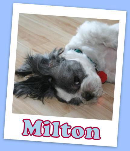 Milton Franklin (ADOPTION PENDING)