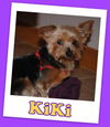 Kiki (ADOPTION PENDING)