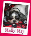 Molly May Franklin (ADOPTION PENDING)