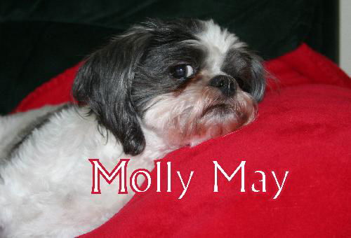 Molly May Franklin (ADOPTION PENDING)