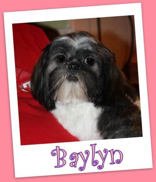 Baylyn (ADOPTION PENDING)