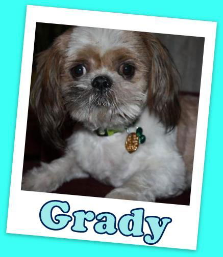 Grady Franklin (ADOPTION PENDING)