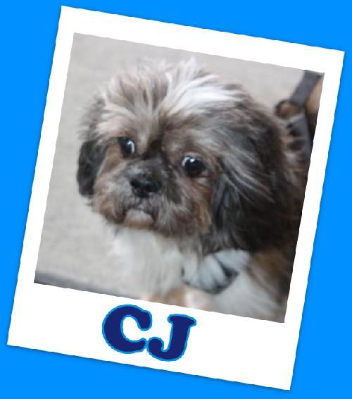 CJ Trumbull (adoption pending)