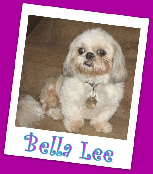 Bella Lee Trumbell (ADOPTION PENDING)