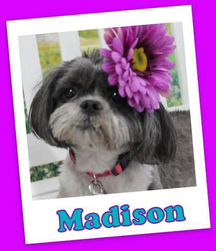 Madison Trumbull (ADOPTION PENDING)