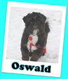 Oswald Jackson (ADOPTION PENDING)