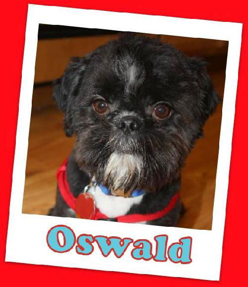 Oswald Jackson (ADOPTION PENDING)