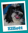 Elliott Franklin (ADOPTION PENDING)