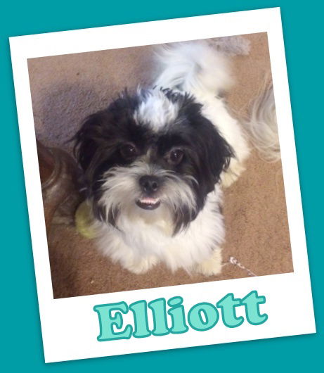 Elliott Franklin (ADOPTION PENDING)