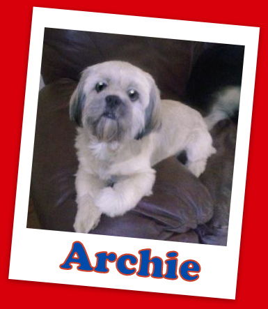 Archie Franklin (ADOPTION PENDING)