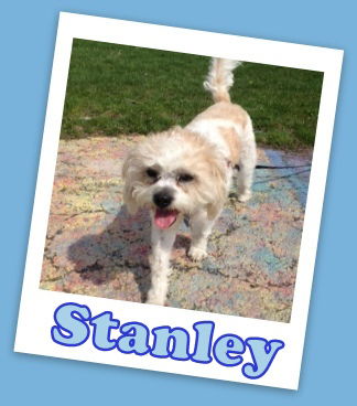 Stanley Morrow (ADOPTION PENDING)