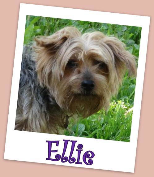 Ellie Franklin (ADOPTION PENDING)