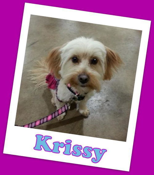 Krissy Franklin (ADOPTION PENDING)