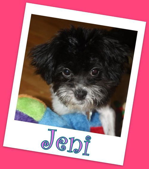 Jeni Franklin (ADOPTION PENDING)