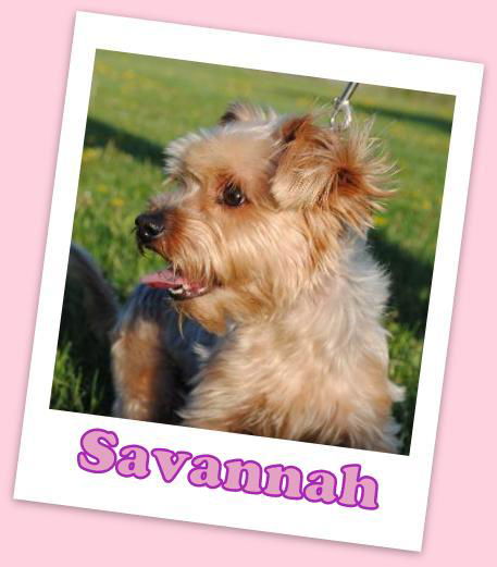 Savannah Franklin (ADOPTION PENDING)