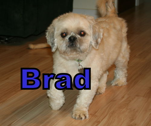 Brad Franklin (ADOPTION PENDING)