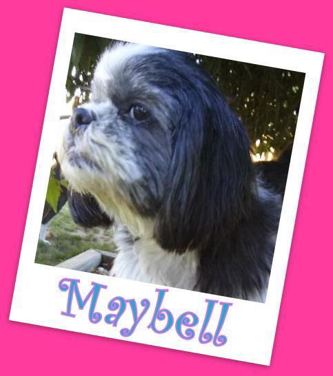 Maybell Franklin (ADOPTION PENDING)