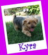 Kyra Franklin (ADOPTION PENDING)