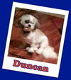 Duncan Franklin (ADOPTION PENDING)