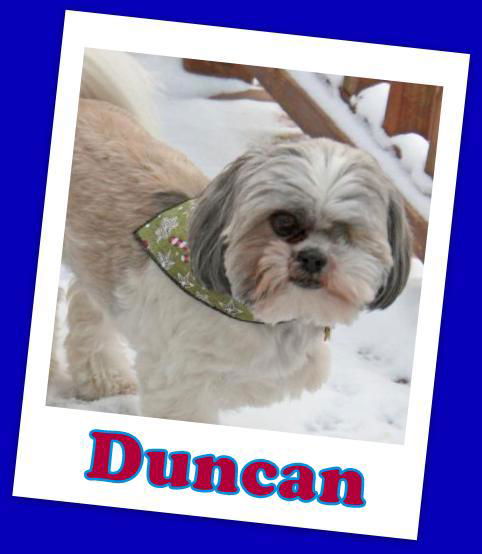 Duncan Franklin (ADOPTION PENDING)