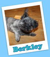 Berkley Franklin (ADOPTION PENDING)