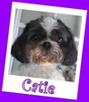 Catie Franklin  (ADOPTION PENDING)