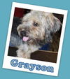 Grayson Franklin (ADOPTION PENDING)