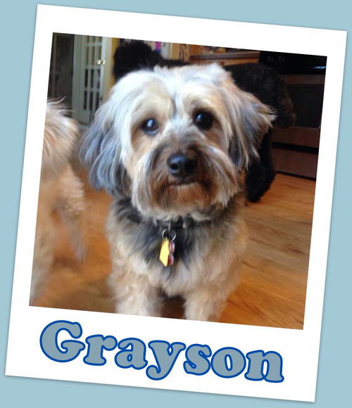 Grayson Franklin (ADOPTION PENDING)