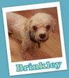 Brinkley Franklin (ADOPTION  PENDING)