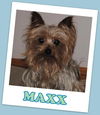 Maxx Franklin (ADOPTION PENDING)